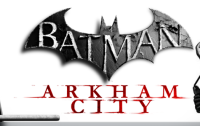 optymalizacja batman arkham city goty